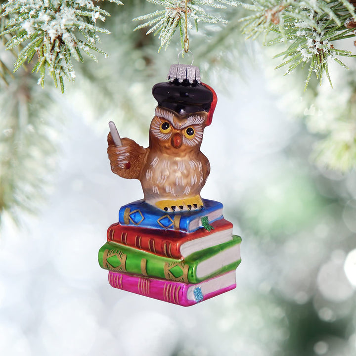 4" (100mm) Owl Teacher Figurine Ornaments, 1/Box, 6/Case, 6 Pieces