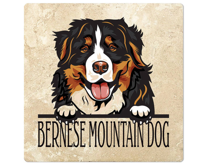 [Set of 4] 4" Square Premium Absorbent Travertine Dog Lover Coasters - Bernese Mountain Dog