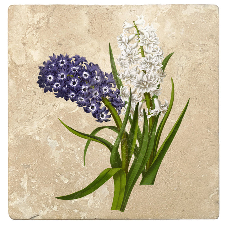 4" Absorbent Stone Flower Designs Drink Coasters, Purple White Hyacinths, 2 Sets of 4, 8 Pieces