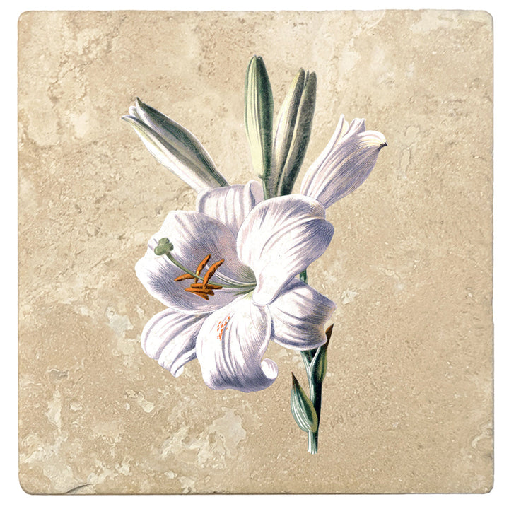 4" Absorbent Stone Flower Designs Drink Coasters, White Lily, 2 Sets of 4, 8 Pieces