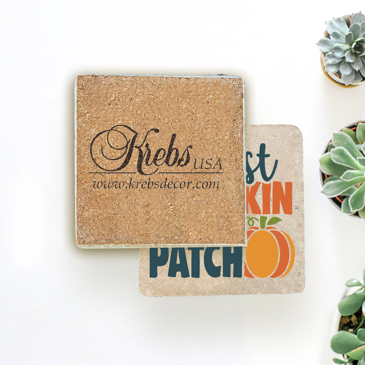 4" Absorbent Stone Fall Autumn Coasters, Cutest Pumpkin In The Patch, 2 Sets of 4, 8 Pieces