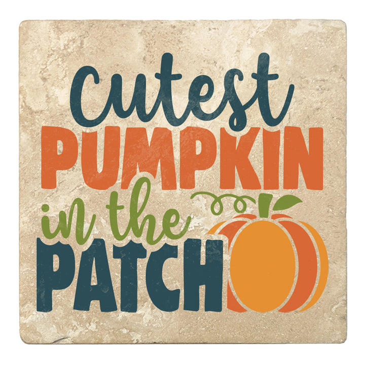 4" Absorbent Stone Fall Autumn Coasters, Cutest Pumpkin In The Patch, 2 Sets of 4, 8 Pieces