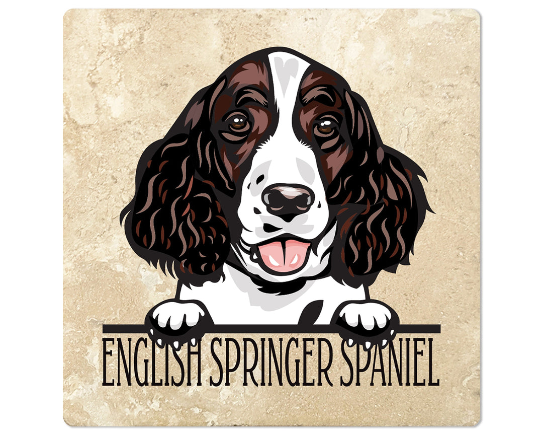 [Set of 4] 4" Square Premium Absorbent Travertine Dog Lover Coasters - English Springer Spaniel