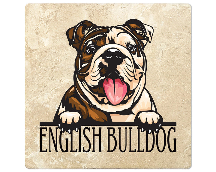 [Set of 4] 4" Square Premium Absorbent Travertine Dog Lover Coasters - Brown & Tan English Bulldog