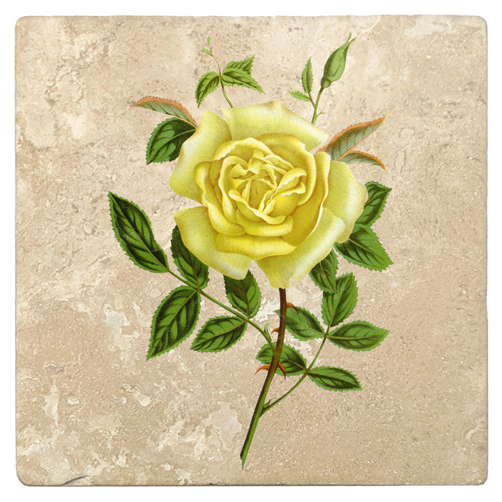 4" Absorbent Stone Flower Designs Drink Coasters, Amazone Rose, 2 Sets of 4, 8 Pieces