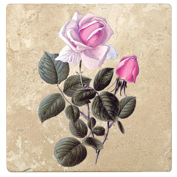 4" Absorbent Stone Flower Designs Drink Coasters, France Hybrid Tea Rose, 2 Sets of 4, 8 Pieces