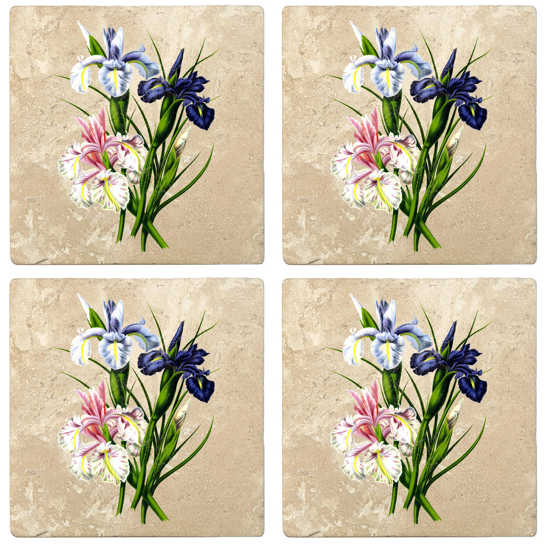 4" Absorbent Stone Flower Designs Drink Coasters, English Iris, 2 Sets of 4, 8 Pieces