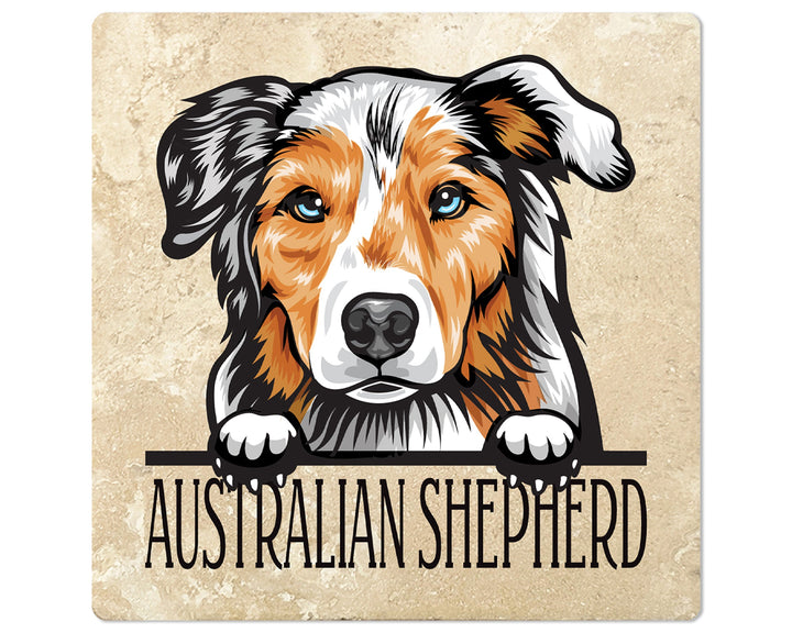 [Set of 4] 4" Square Premium Absorbent Travertine Dog Lover Coasters - Adult Australian Shepherd