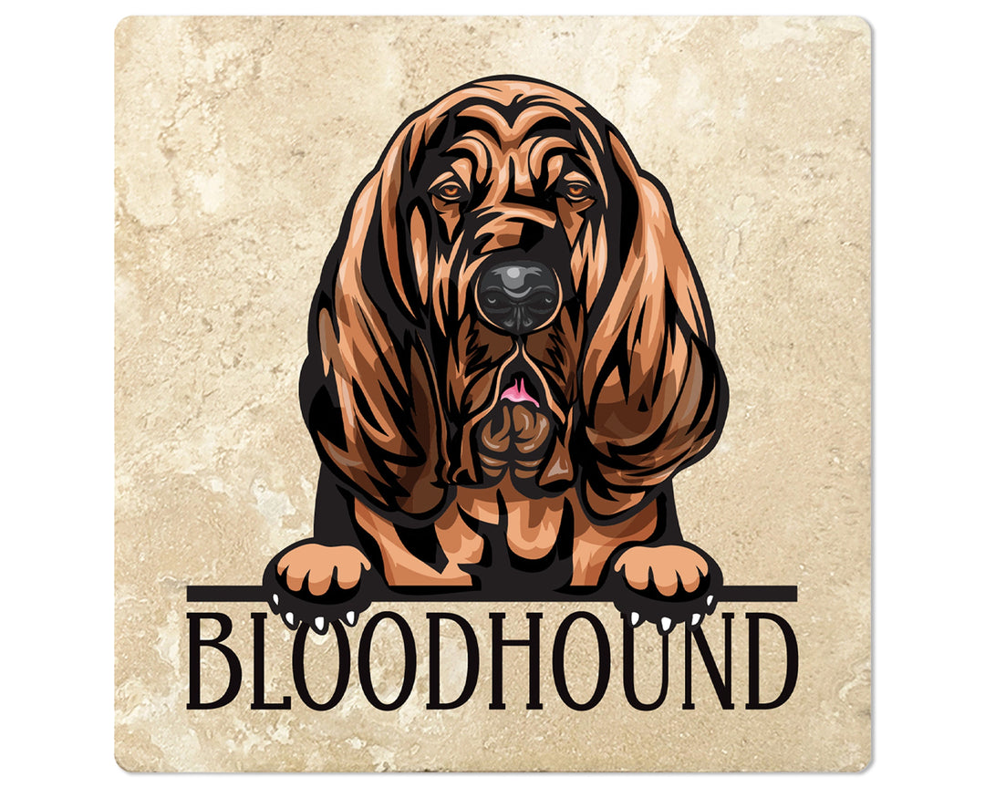 [Set of 4] 4" Square Premium Absorbent Travertine Dog Lover Coasters - Bloodhound
